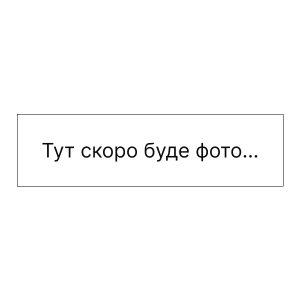 Бургер з сьомгою
